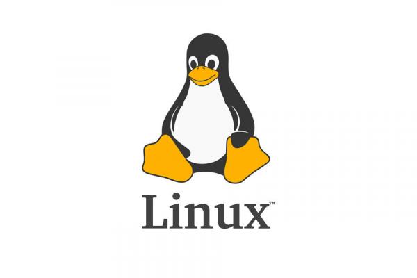 Image for event: Rockford MakerSpace Presents: Advanced Linux!